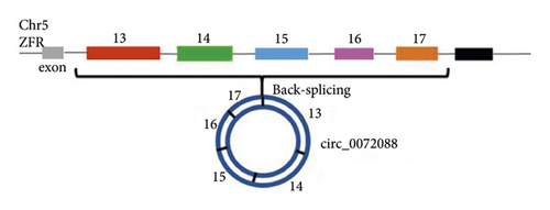Details are in the caption following the image