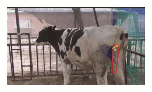 Details are in the caption following the image Details are in the caption following the image