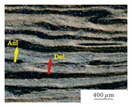 Details are in the caption following the image