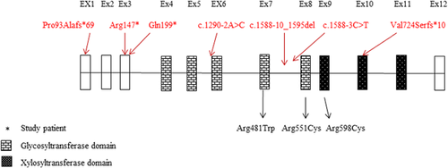 Details are in the caption following the image Details are in the caption following the image