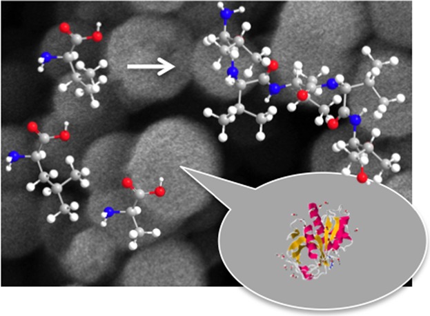 Synthesis of Homopolypeptides by Aminolysis Mediated by Proteases Encapsulated in Silica Nanospheres