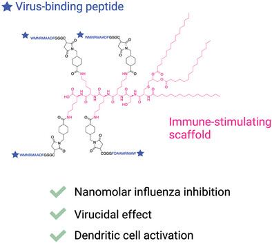 A Synthetic Multivalent Lipopeptide Derived from Pam3CSK4 with Irreversible Influenza Inhibition and Immuno-Stimulating Effects