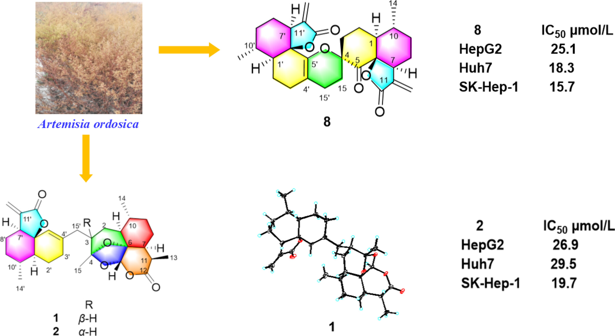 Artemordins A—S, Cadinane-Type Sesquiterpenoid Dimers from Artemisia ordosica and Their Antihepatoma Activities