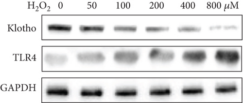 Details are in the caption following the image