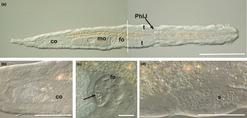 Details are in the caption following the image Details are in the caption following the image