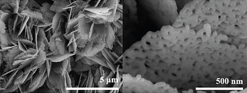 Details are in the caption following the image