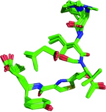 The Tubulin-Bound Structure of the Antimitotic Drug Tubulysin
