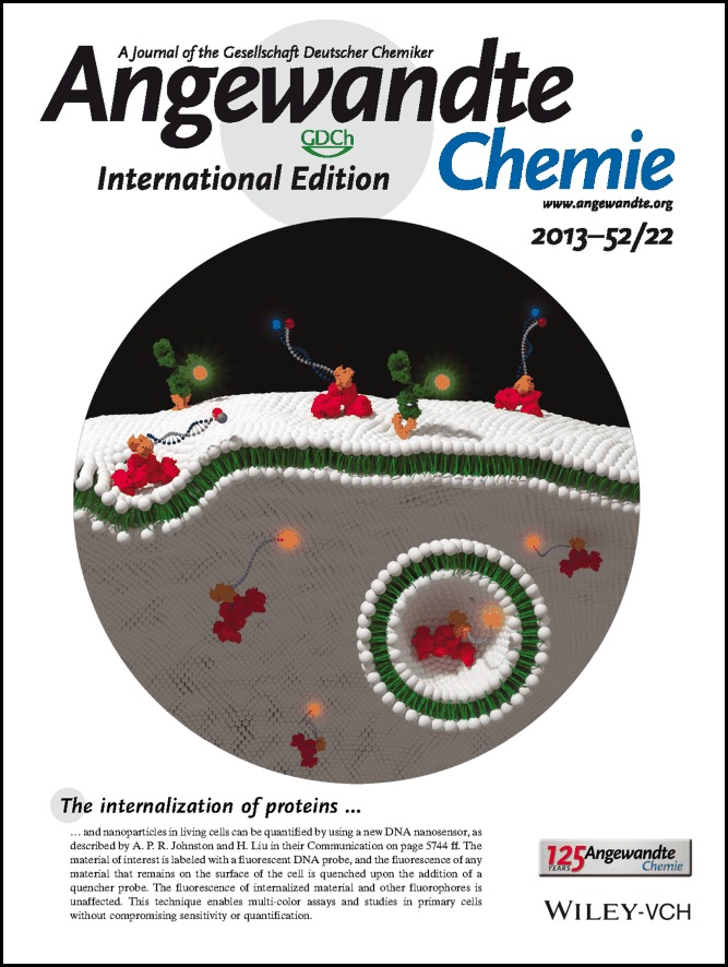 Back Cover: A Programmable Sensor to Probe the Internalization of Proteins and Nanoparticles in Live Cells (Angew. Chem. Int. Ed. 22/2013)