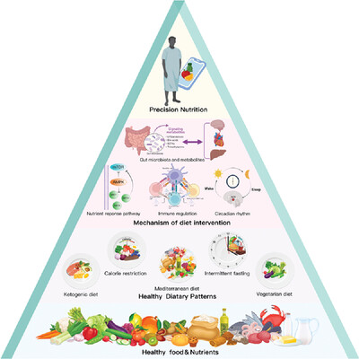 Dietary patterns and cardiometabolic health: Clinical evidence and mechanism