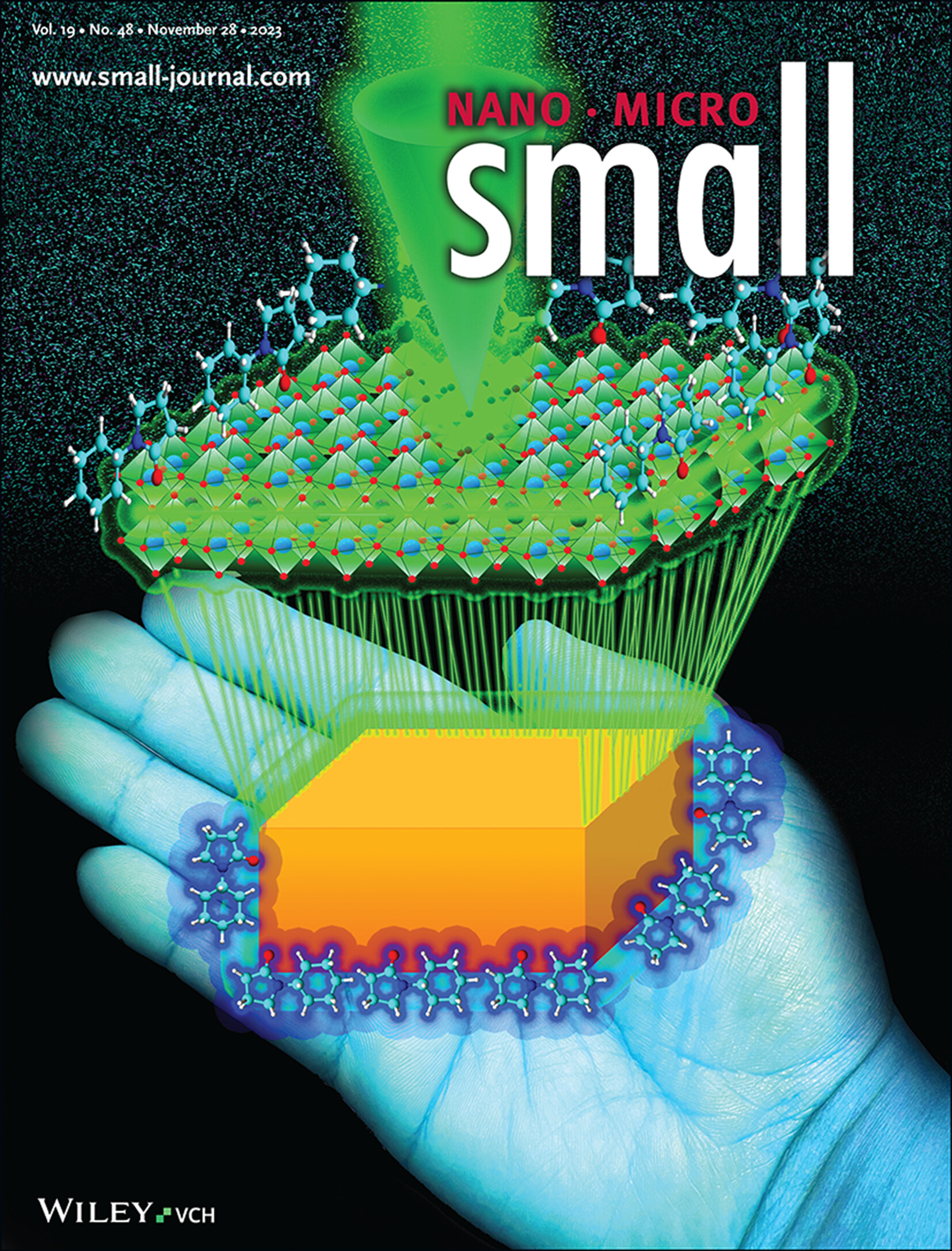 Thermodynamically and Kinetically Controlled Nucleation and Growth of Halide Perovskite Single Crystals (Small 48/2023) Volume 19 Issue 48, 2023