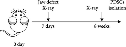 Details are in the caption following the image