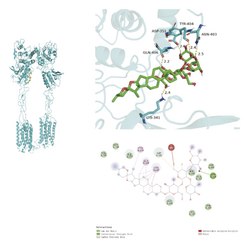 Details are in the caption following the image Details are in the caption following the image