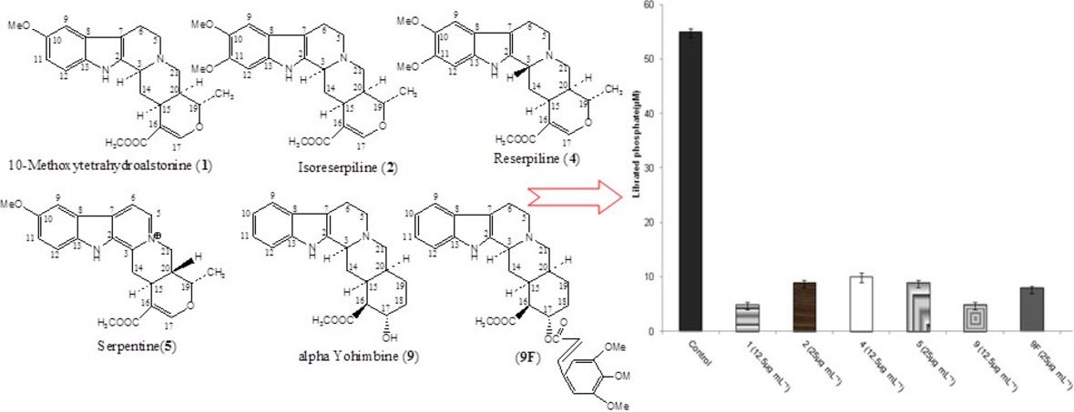 Synergy Potential of Indole Alkaloids and Its Derivative against Drug-resistant Escherichia coli