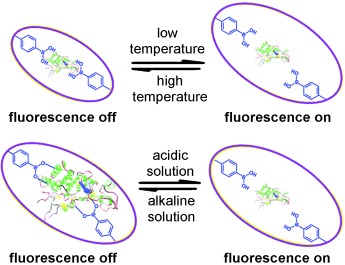 A Fluorescence Nanosensor for Glycoproteins with Activity Based on the Molecularly Imprinted Spatial Structure of the Target and Boronate Affinity