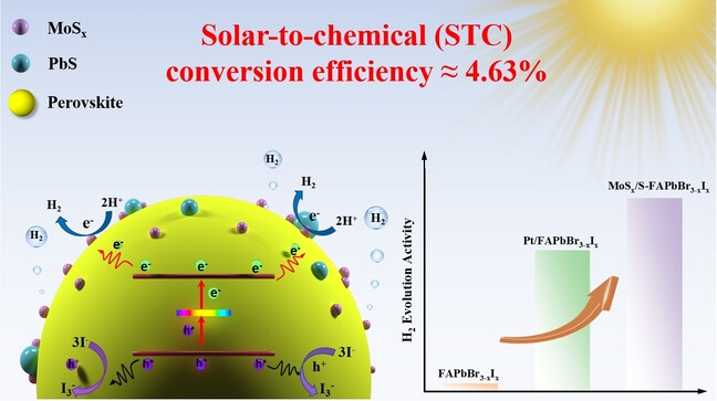 Simultaneous Defect Passivation and Co-Catalyst Engineering Leads to Superior Photocatalytic Hydrogen Evolution on Metal Halide Perovskites