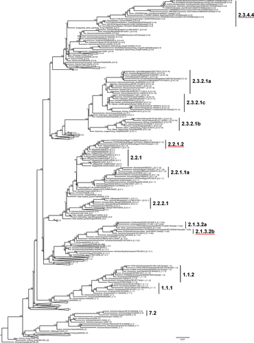 Details are in the caption following the image Details are in the caption following the image