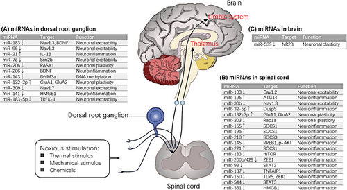 Details are in the caption following the image Details are in the caption following the image