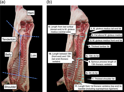 Details are in the caption following the image Details are in the caption following the image