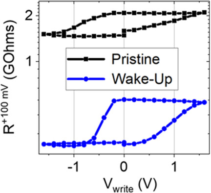 Ferroelectric, Analog Resistive Switching in Back-End-of-Line Compatible TiN/HfZrO4/TiOx Junctions
