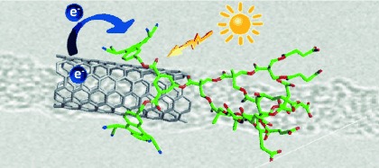 Stable Electron Donor–Acceptor Nanohybrids by Interfacing n-Type TCAQ with p-Type Single-Walled Carbon Nanotubes