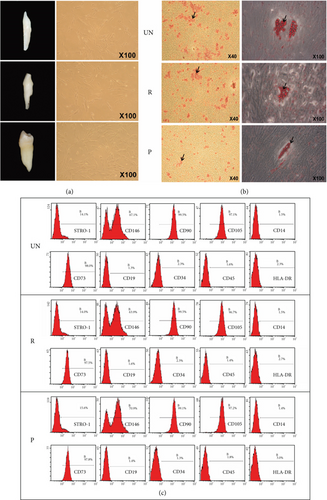 Details are in the caption following the image Details are in the caption following the image