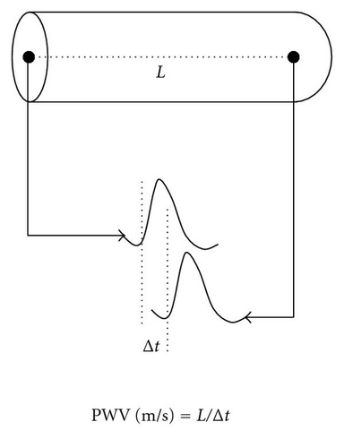 Details are in the caption following the image