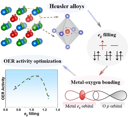 Tunable eg Orbital Occupancy in Heusler Compounds for Oxygen Evolution Reaction**
