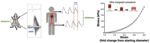 Details are in the caption following the image
