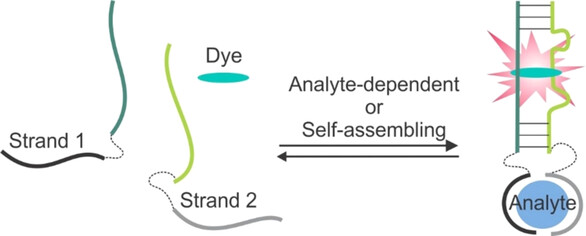 Binary (Split) Light-up Aptameric Sensors