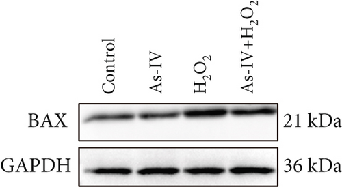 Details are in the caption following the image