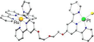 A Highly Flexible Dinuclear Ruthenium(II)–Platinum(II) Complex: Crystal Structure and Binding to 9-Ethylguanine