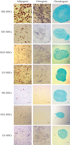 Details are in the caption following the image Details are in the caption following the image