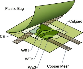 A Multiple Working Electrode for Electrochemical Cells: A Tool for Current Density Distribution Studies