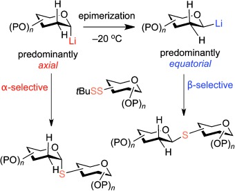 Umpolung Reactivity in the Stereoselective Synthesis of S-Linked 2-Deoxyglycosides
