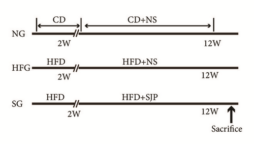 Details are in the caption following the image