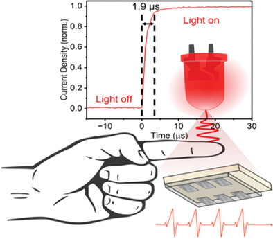 Fast Near-Infrared Photodetectors Based on Nontoxic and Solution-Processable AgBiS2