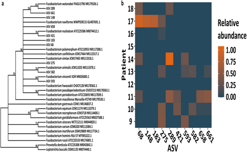 Details are in the caption following the image Details are in the caption following the image