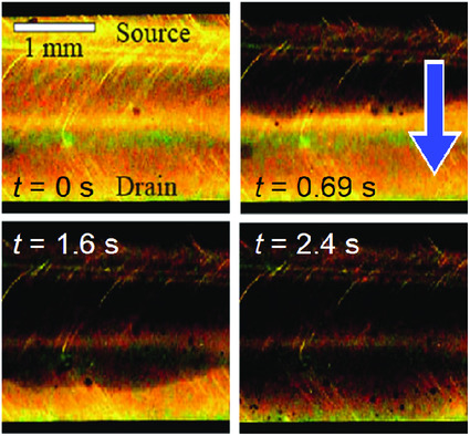 Visualization of Carrier Transport in Luminescent Polymer Thin Film by Using Transient Photoluminescence Decay Imaging