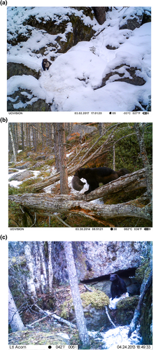 Details are in the caption following the image