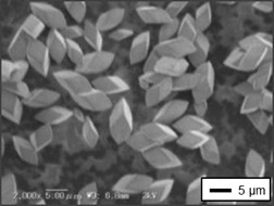 Polymorphism, Size and Shape Control of Calcium Carbonate Crystals in the Presence of a Polyelectrolyte