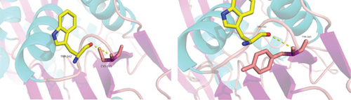 Details are in the caption following the image Details are in the caption following the image