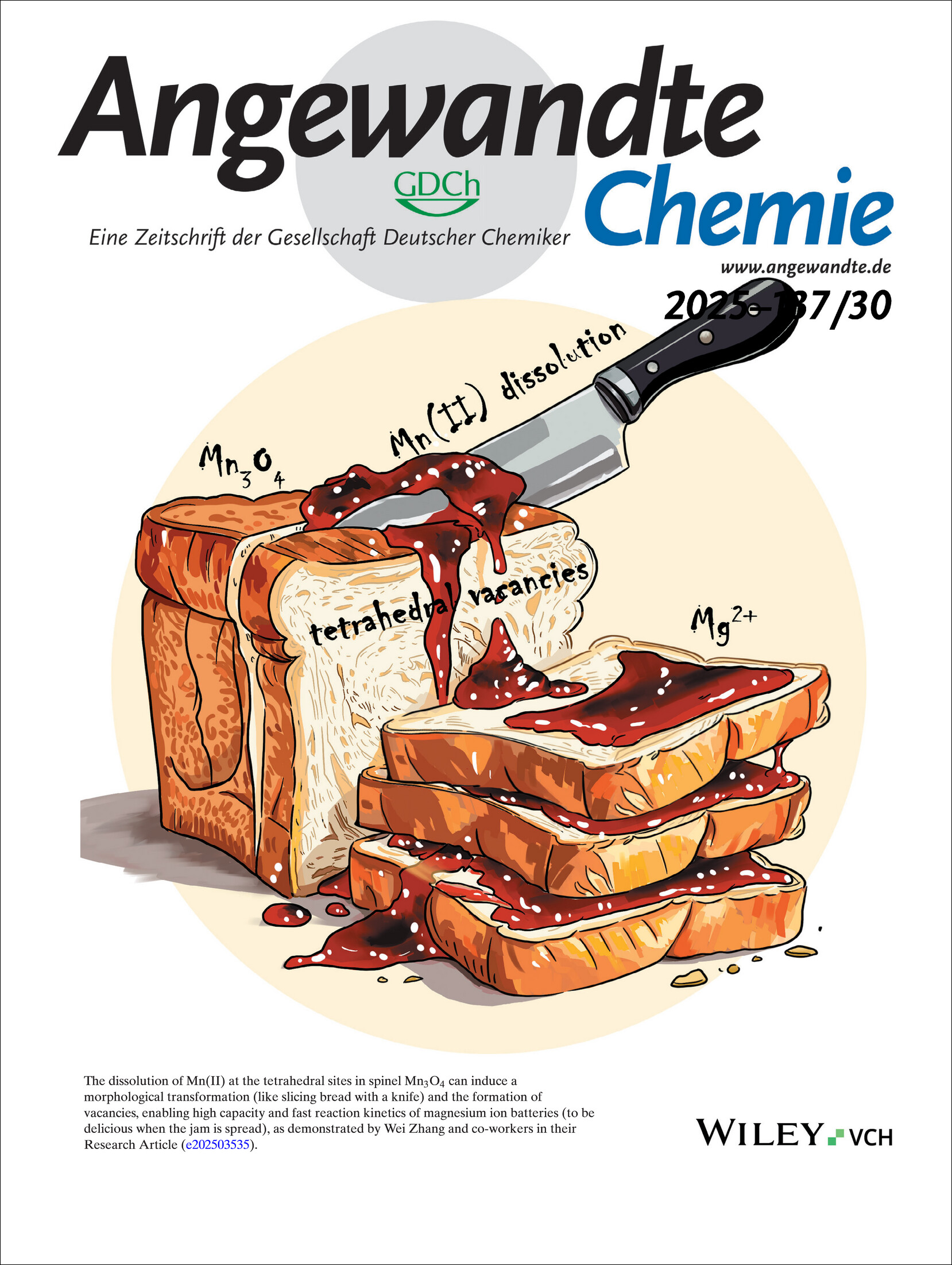 Frontispiece: Utilizing the Mn(II) Dissolution-Induced Vacancy for Optimum Mg2+ Storage of Spinel Mn3O4 Volume 137 Issue 30, 2025