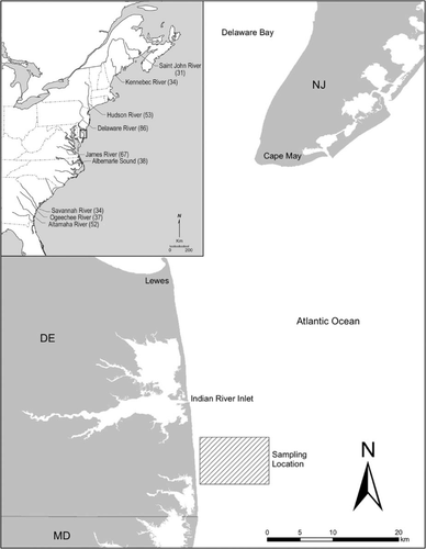 Details are in the caption following the image