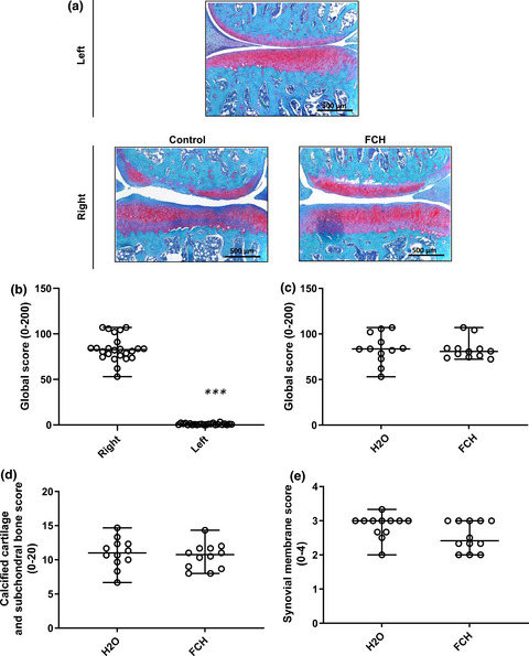 Oral supplementation with fish cartilage hydrolysate accelerates joint function recovery in rat model of traumatic knee osteoarthritis