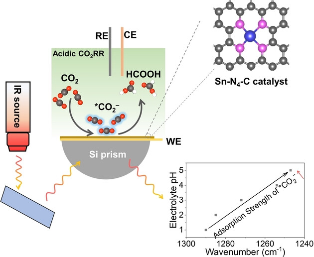 Unveiling pH-Dependent Adsorption Strength of *CO2− Intermediate over High-Density Sn Single Atom Catalyst for Acidic CO2-to-HCOOH Electroreduction