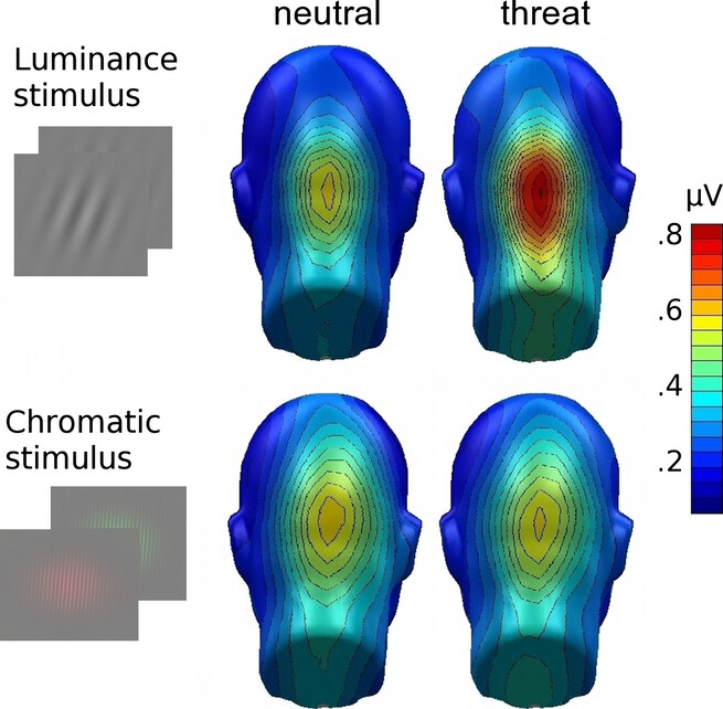 Luminance, but not chromatic visual pathways, mediate amplification of conditioned danger signals in human visual cortex