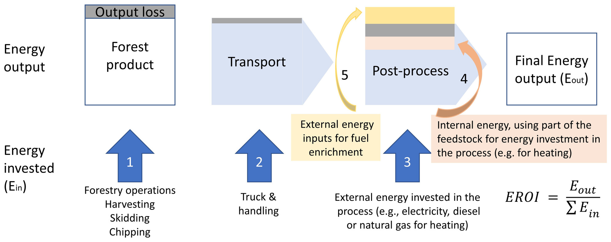 Estimating the energy return on investment of forestry biomass: Impacts of feedstock, production techniques and post-processing