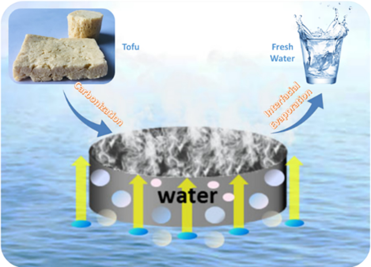 Carbonized tofu as photothermal material for highly efficient solar steam generation
