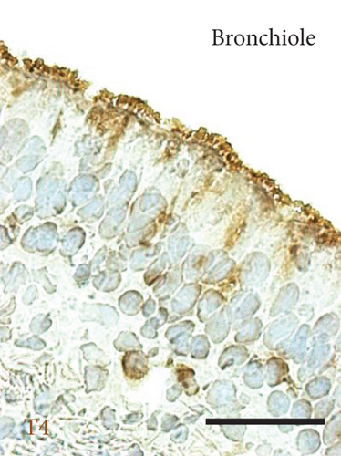Details are in the caption following the image