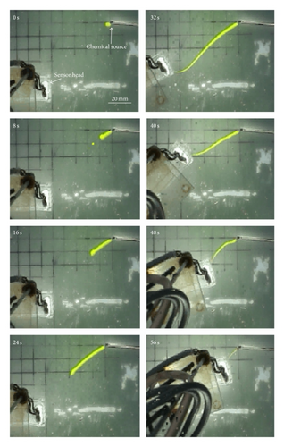 Details are in the caption following the image Details are in the caption following the image
